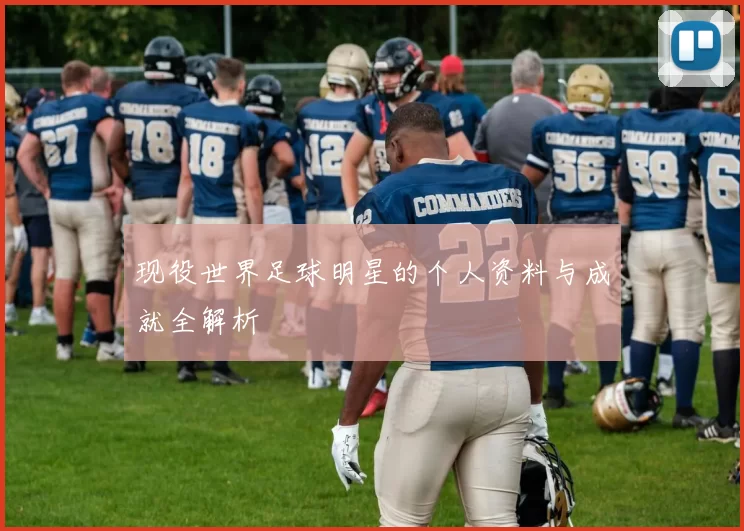 现役世界足球明星的个人资料与成就全解析