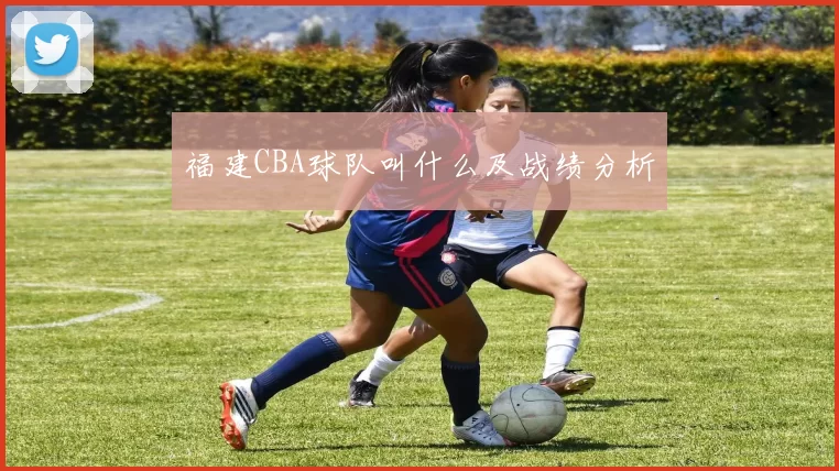 福建CBA球队叫什么及战绩分析