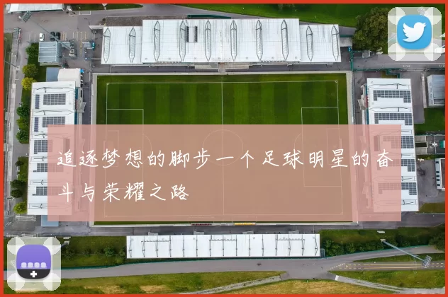 追逐梦想的脚步一个足球明星的奋斗与荣耀之路