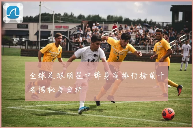 全球足球明星中锋身高排行榜前十名揭秘与分析