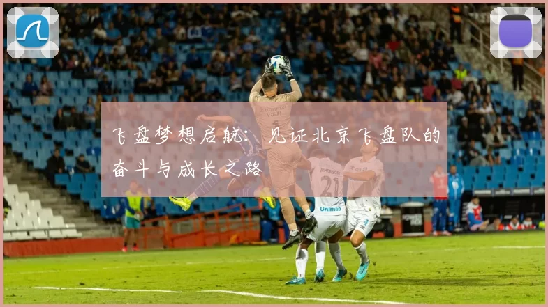 飞盘梦想启航：见证北京飞盘队的奋斗与成长之路