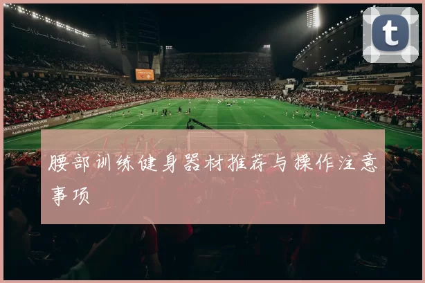 腰部训练健身器材推荐与操作注意事项