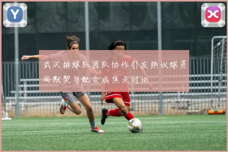 武汉排球队团队协作引发热议球员间默契与配合成焦点讨论