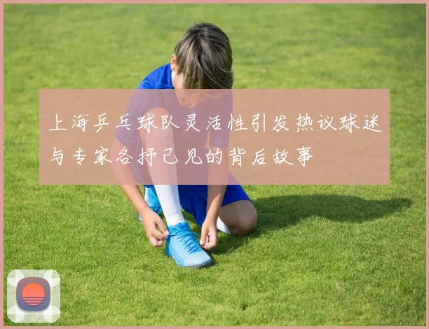 上海乒乓球队灵活性引发热议球迷与专家各抒己见的背后故事