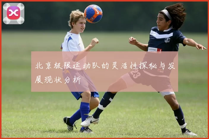 北京极限运动队的灵活性探秘与发展现状分析