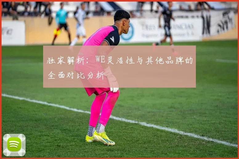 独家解析：WE灵活性与其他品牌的全面对比分析