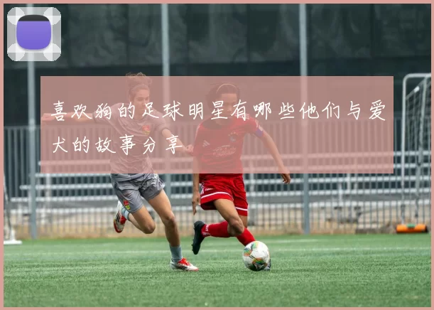 喜欢狗的足球明星有哪些他们与爱犬的故事分享