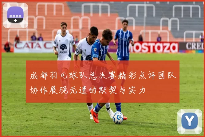 成都羽毛球队总决赛精彩点评团队协作展现无遗的默契与实力