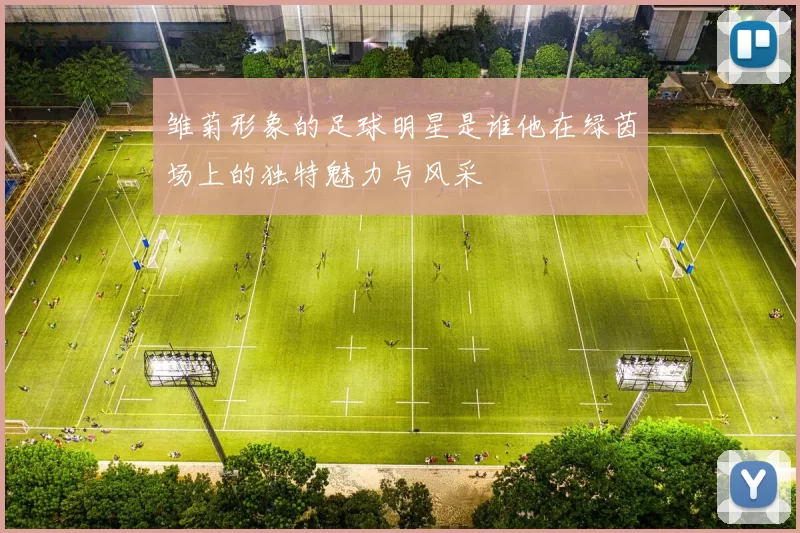 雏菊形象的足球明星是谁他在绿茵场上的独特魅力与风采