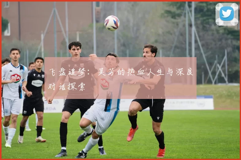 飞盘追梦：吴芳的热血人生与深度对话探索