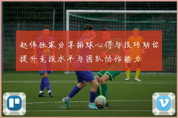 赵伟独家分享排球心得与技巧助你提升竞技水平与团队协作能力