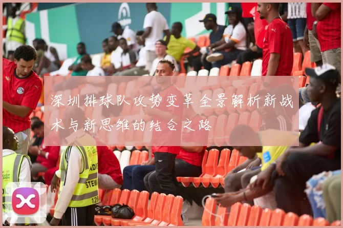 深圳排球队攻势变革全景解析新战术与新思维的结合之路