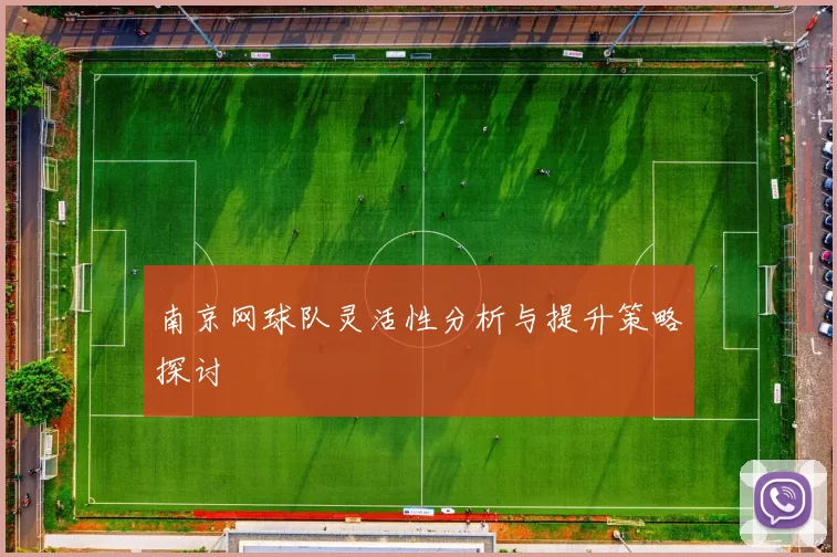 南京网球队灵活性分析与提升策略探讨