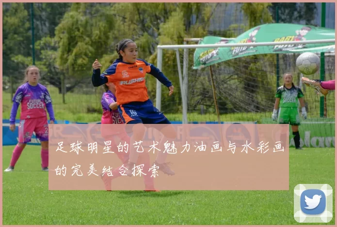 足球明星的艺术魅力油画与水彩画的完美结合探索