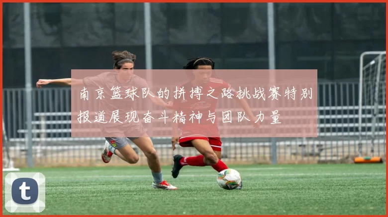 南京篮球队的拼搏之路挑战赛特别报道展现奋斗精神与团队力量