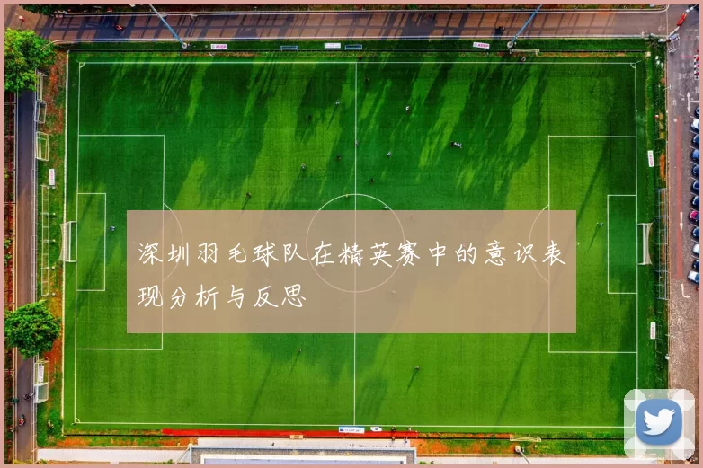 深圳羽毛球队在精英赛中的意识表现分析与反思