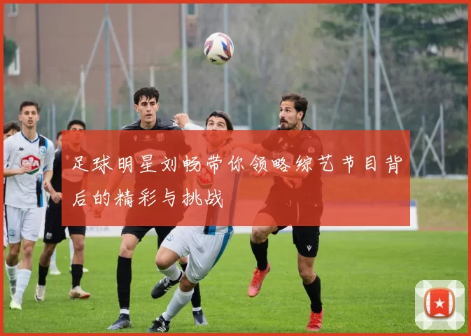 足球明星刘畅带你领略综艺节目背后的精彩与挑战