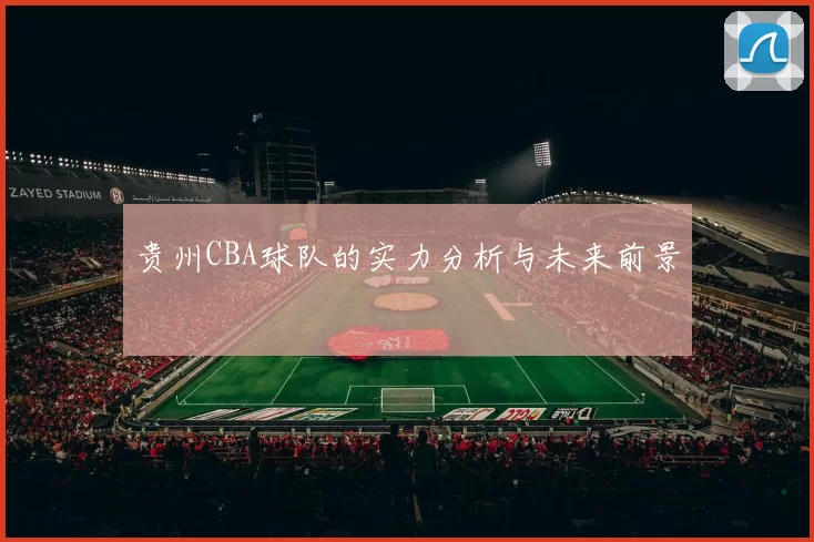 贵州CBA球队的实力分析与未来前景