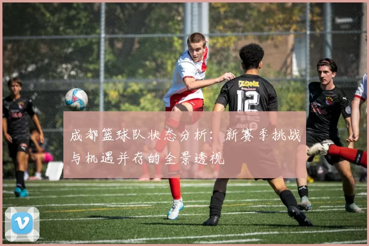 成都篮球队状态分析：新赛季挑战与机遇并存的全景透视
