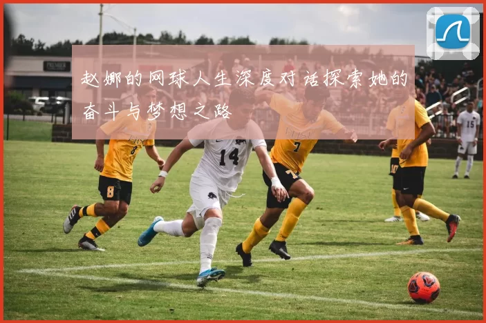 赵娜的网球人生深度对话探索她的奋斗与梦想之路