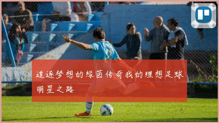 追逐梦想的绿茵传奇我的理想足球明星之路