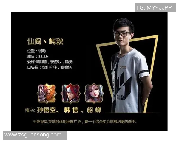 V5战队团队协作分析：如何在职业联赛中展现出色配合能力